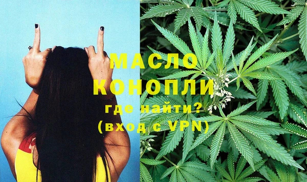 индика Абдулино