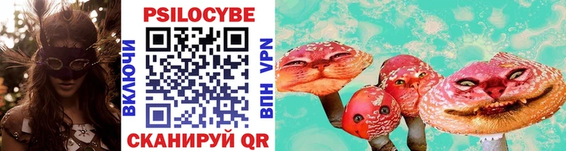 закладка  Таштагол  Псилоцибиновые грибы мухоморы 